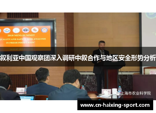 叙利亚中国观察团深入调研中叙合作与地区安全形势分析