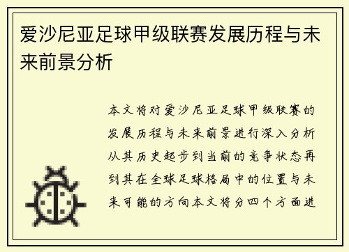 爱沙尼亚足球甲级联赛发展历程与未来前景分析