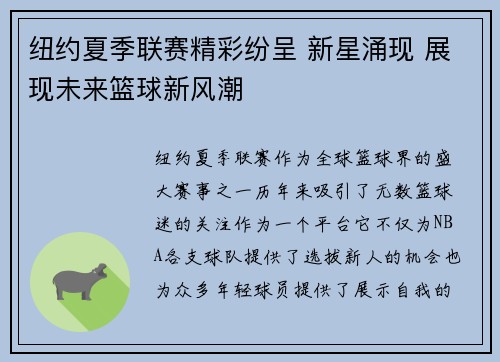 纽约夏季联赛精彩纷呈 新星涌现 展现未来篮球新风潮
