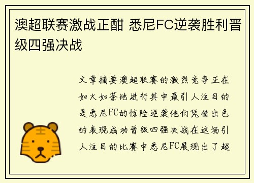 澳超联赛激战正酣 悉尼FC逆袭胜利晋级四强决战