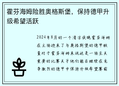 霍芬海姆险胜奥格斯堡，保持德甲升级希望活跃