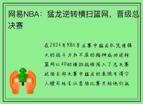 网易NBA：猛龙逆转横扫篮网，晋级总决赛